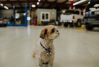 Gallery Item - Mark's Automotive Repair Center